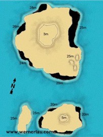 Giant Clam